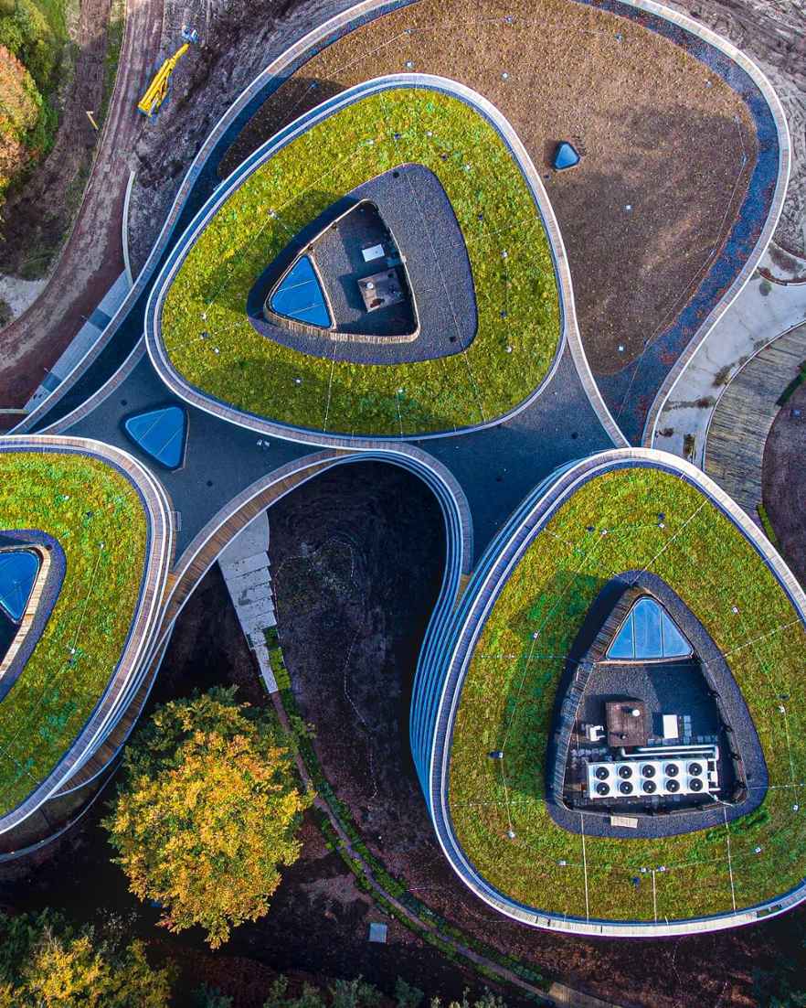Luchtfoto van het dak van het Triodos Bank gebouw, omgeven door groen.