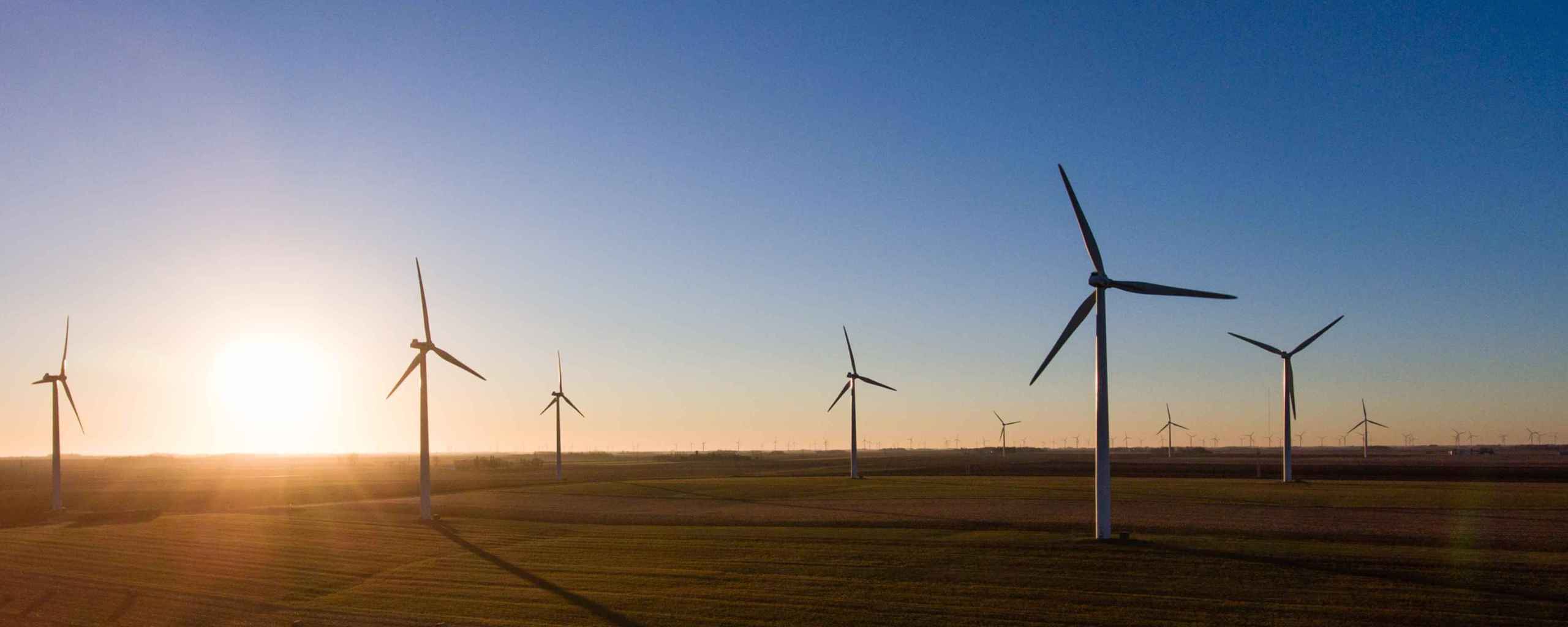 Windmolens staan in een open landschap. De zon schijnt laag boven de velden.