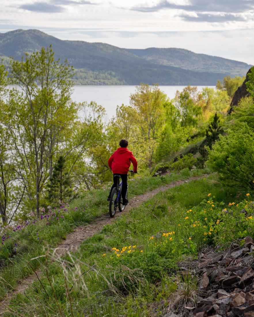 Een persoon fiets over een smal pad door een groen landschap met bomen en bloemen. Op de achtergrond ligt water.